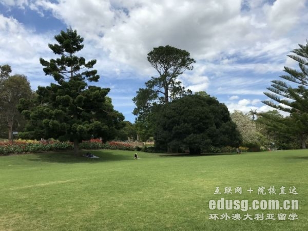 澳大利亚会计本科几年