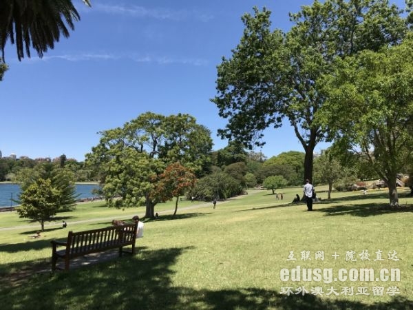 �Ĵ����ǵ����רҵ