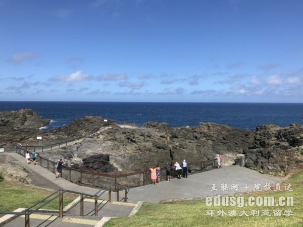 �Ĵ����ǻ���רҵѧ��