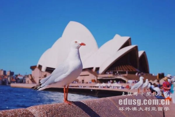 澳大利亚会计专业