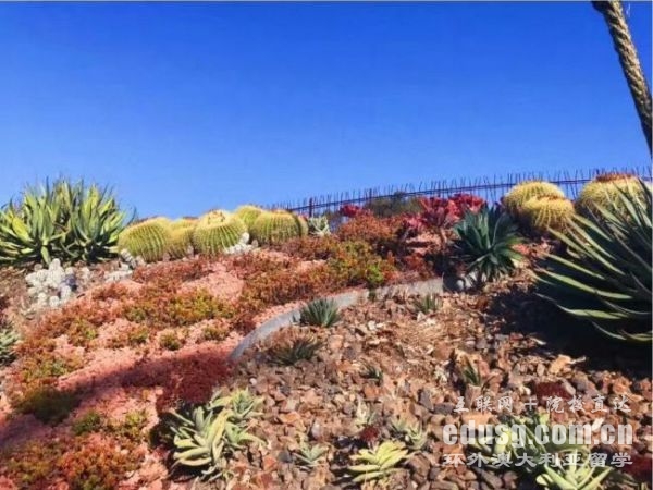 �Ĵ�������������רҵ