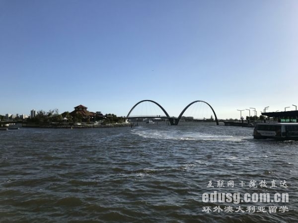 �Ĵ������̿ƶ���