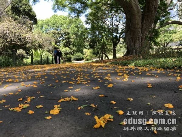 �Ĵ�����Сѧ��ѧ����