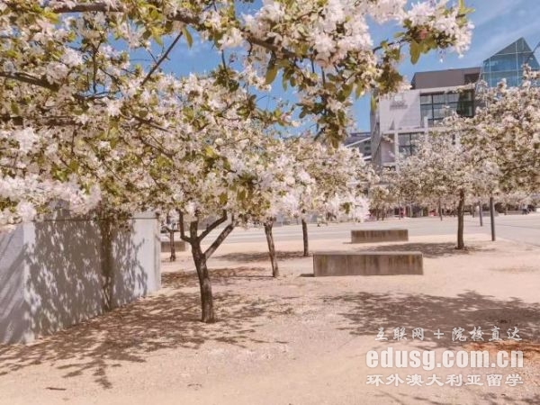 �Ĵ�����ҽѧ����