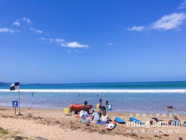 �Ĵ��������Ŵ�ýרҵ