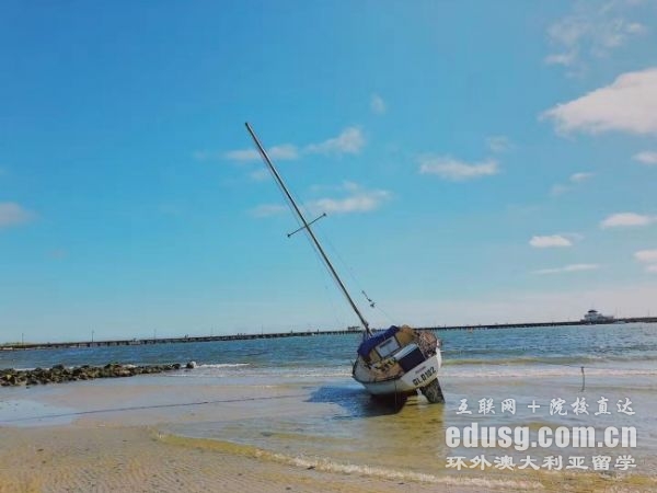 �Ĵ�������������רҵ