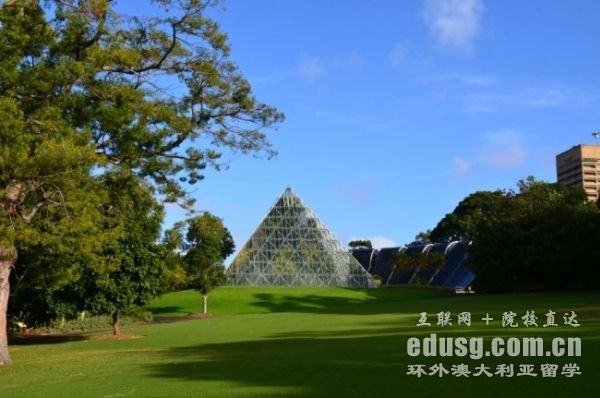 澳大利亚牙医大学