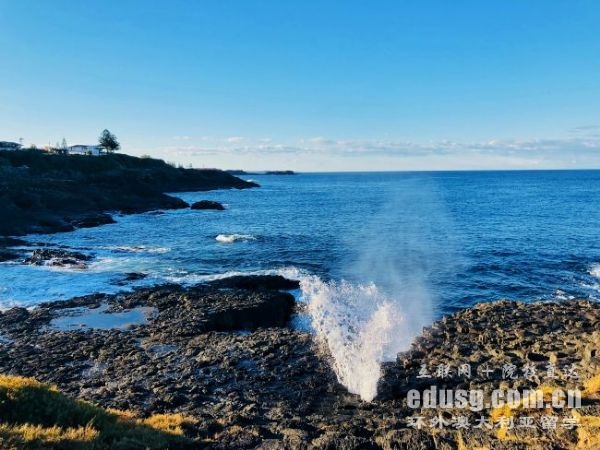 �Ĵ����ǲ�ʿ��ѧ����