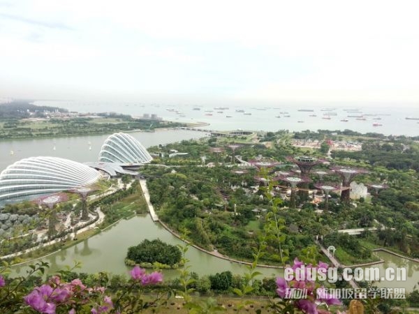 南洋理工大学金融学院专业有哪些