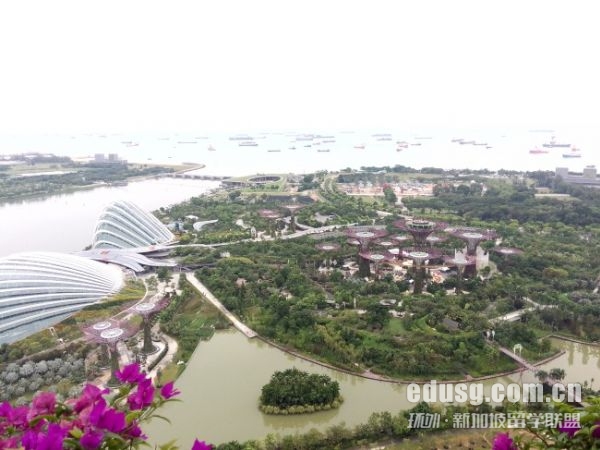 新加坡物流管理专业费用