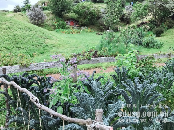 �¿�����ѧ��ѧ����Ҫ��