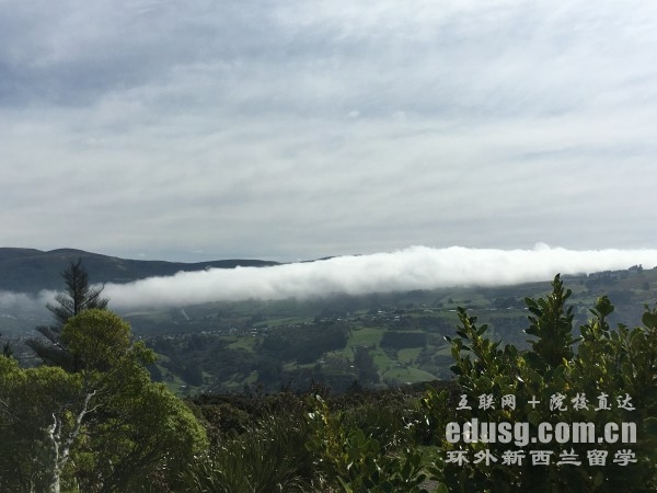 到新西兰留学大概要多少钱