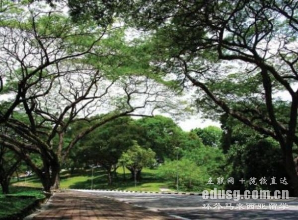 ��������usm��ѧ����