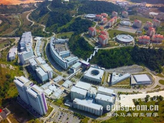 玛拉工艺大学艺术博士