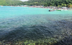 2024̩����ѧqs����